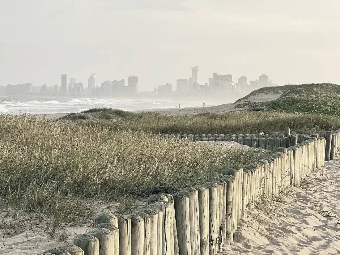 Dune grass and a timber fence at Durban North beach, the city skyline hazy across the bay